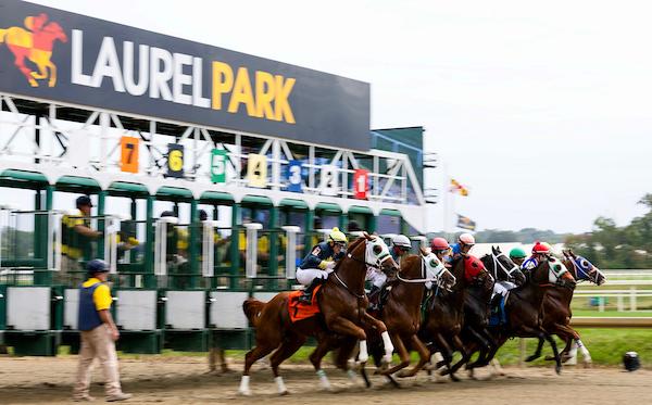 Triple Crown, Preakness, Laurel Park, horse racing, America's Best Racing, ABR
